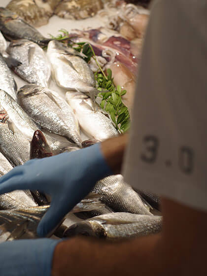 Scegli il tipo di pesce